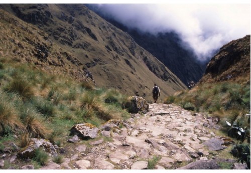 Camino Inca Inca Month Nine Back Catalogue